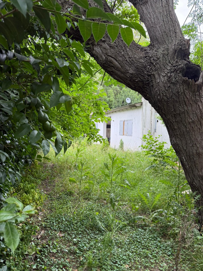 Casa Quinta en Venta - 2,76 Ha - Pileta Climatizada - Apto Desarrollo - Abasto / San Carlos