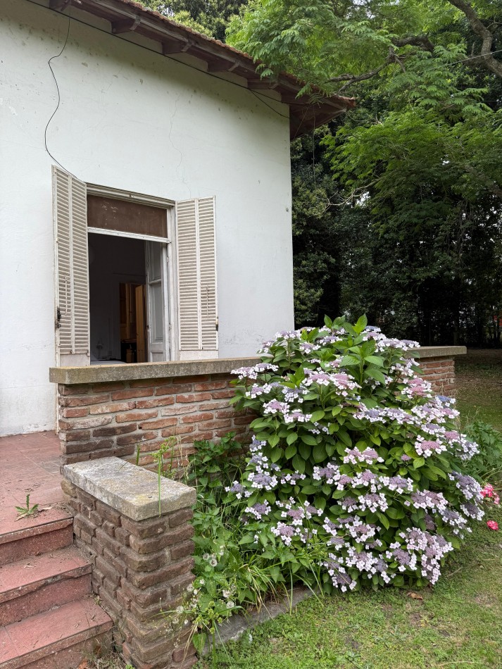 Casa Quinta en Venta - 2,76 Ha - Pileta Climatizada - Apto Desarrollo - Abasto / San Carlos