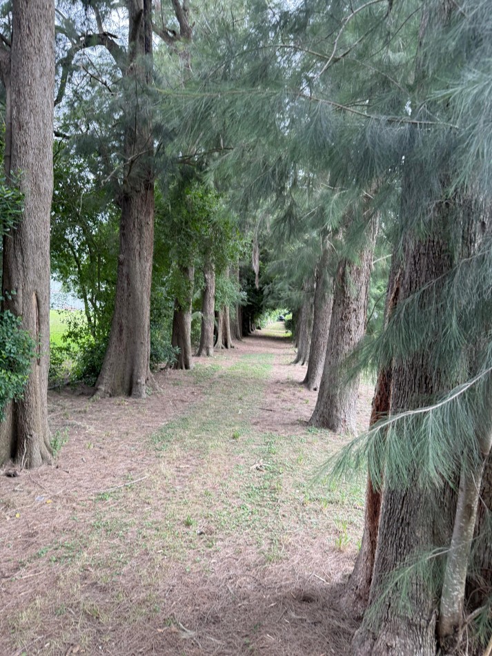 Casa Quinta en Venta - 2,76 Ha - Pileta Climatizada - Apto Desarrollo - Abasto / San Carlos