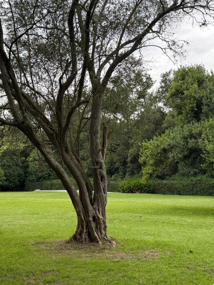 Casa Quinta en Venta - 2,76 Ha - Pileta Climatizada - Apto Desarrollo - Abasto / San Carlos