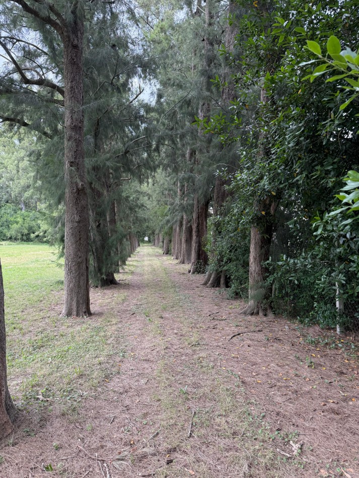 Casa Quinta en Venta - 2,76 Ha - Pileta Climatizada - Apto Desarrollo - Abasto / San Carlos