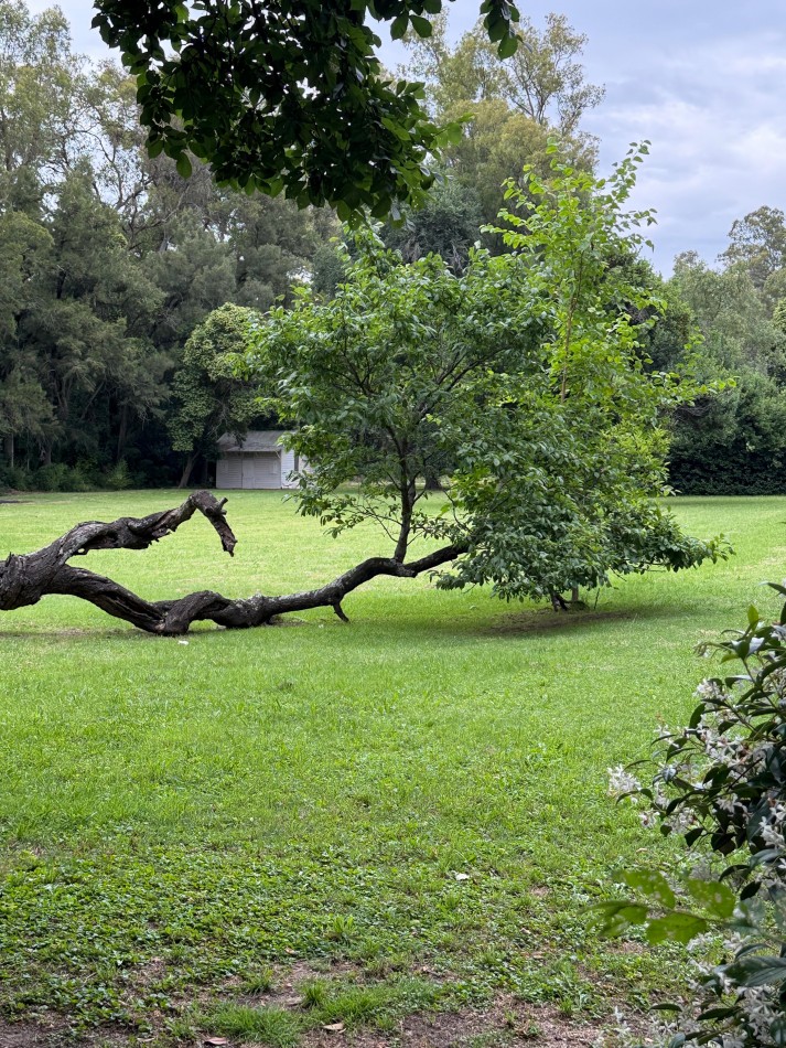 Casa Quinta en Venta - 2,76 Ha - Pileta Climatizada - Apto Desarrollo - Abasto / San Carlos