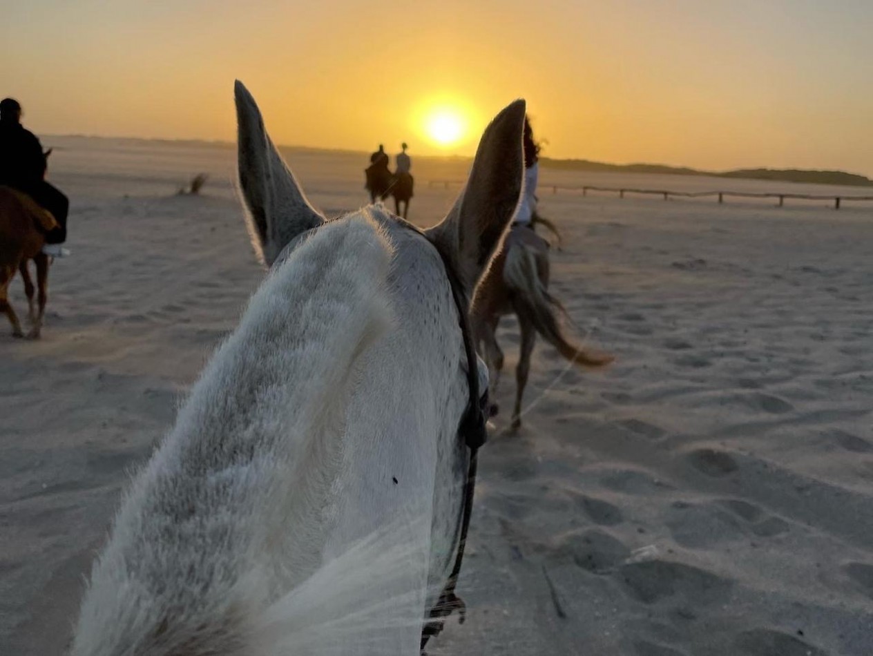 Lote 1000 m² en Costa Esmeralda - Residencial I, a metros del Golf y Club House